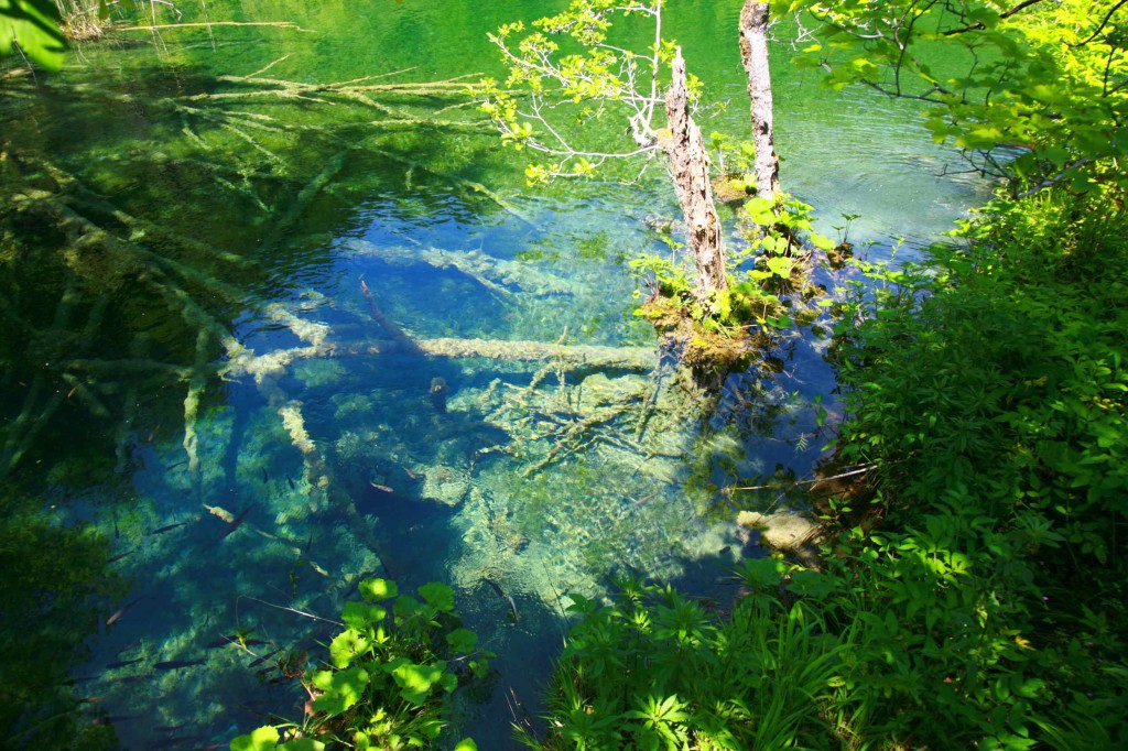 Croatia - Plitvice Lakes National Park013_