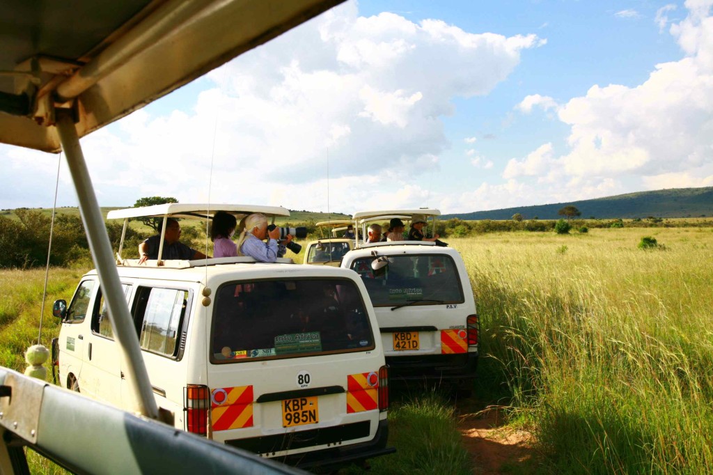 サファリの車は天井が開く