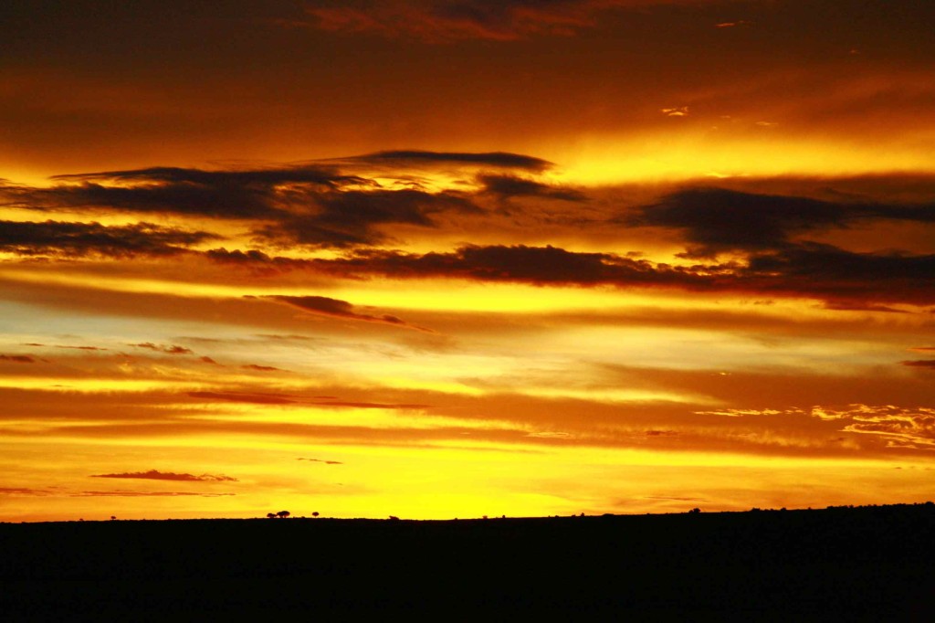 サファリの夕日は最高に綺麗だった！