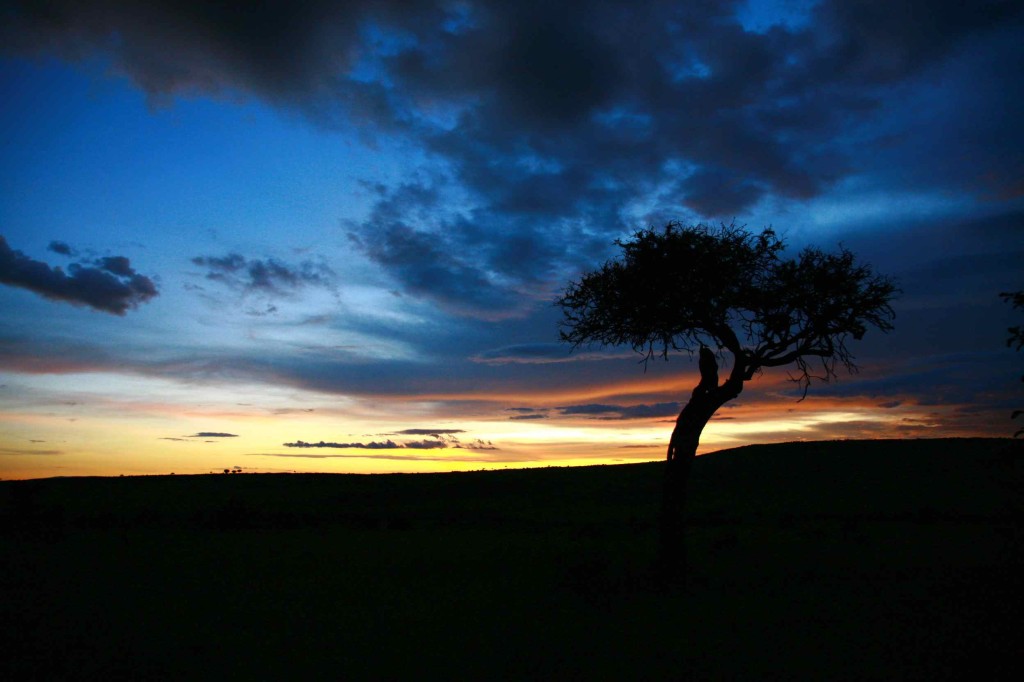 ケニア、マサイマラ国立公園で見た夕日。