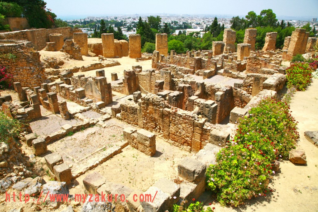 Tunisia - Carthageカルダゴ遺跡