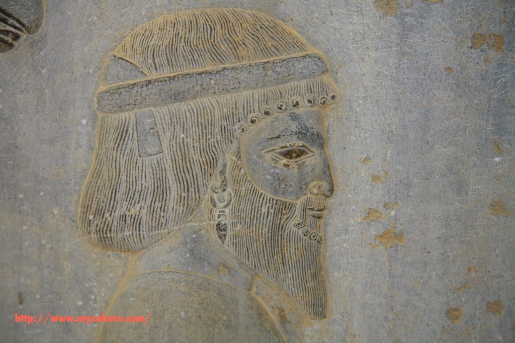 Iran - Persepolis020_