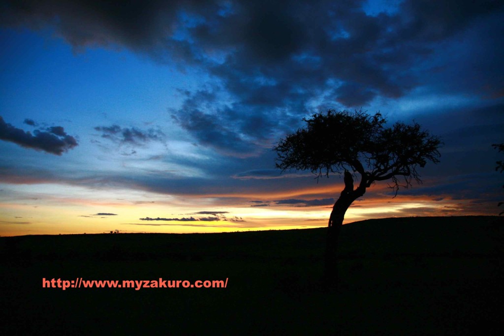 Kenya - Masai Mara006_