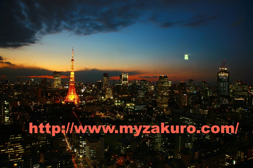 Tokyo Tower010_